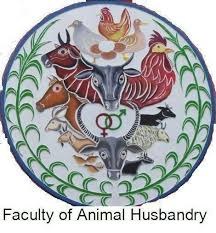 Faculty of Animal Husbandry